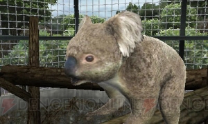 アニマルリゾート 動物園をつくろう は5月19日に発売 電撃オンライン
