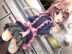 『世界でいちばんNG（だめ）な恋 ふるはうす』