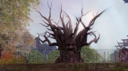 『AION』