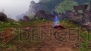 『AION』