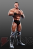 『WWE オールスターズ』