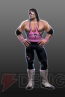 『WWE オールスターズ』