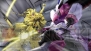 『ガンダムメモリーズ』
