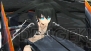 『ブラック★ロックシューター THE GAME』