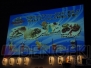 “バサラ祭2011 ～夏の陣～”
