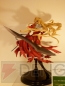 WF2011［夏］