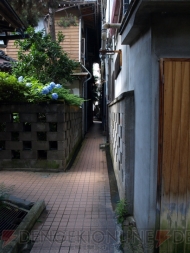 “MHP 3rd×信州渋温泉”
