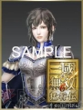 『真・三國無双6 猛将伝』