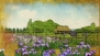 『戦国無双3 Empires』