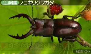 電撃オンライン