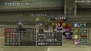 『ドラゴンクエストX 目覚めし五つの種族 オンライン』