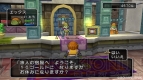 『ドラゴンクエストX 目覚めし五つの種族 オンライン』