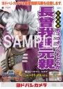 『戦国BASARA3 宴』
