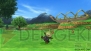 『ドラゴンクエストX』
