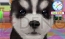 『かわいい仔犬3D』