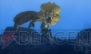 MH3G_20111110