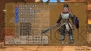 『ドラゴンクエストX 目覚めし五つの種族 オンライン』