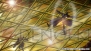 『TIGER ＆ BUNNY』NEXT PROJECT2