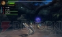 『モンスターハンター3（トライ）G』