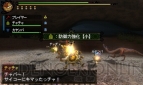 『モンスターハンター3（トライ）G』