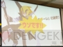 “日本一ソフトウェア電気外祭りステージ 2011冬の陣”