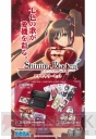 『シャイニング・ブレイド アクセサリーセット』