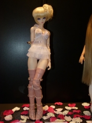 WF2012［冬］