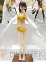 “ワンダーフェスティバル 2012［冬］”