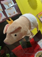 プライズフェア