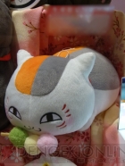 プライズフェア