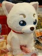 プライズフェア