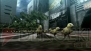『TOKYO JUNGLE』