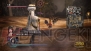 『無双OROCHI2』