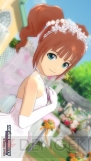 『アイドルマスター グラビアフォーユー！（G4U！） VOL.8』