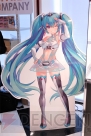 初音ミクライブパーティー2012 ひる（ミクパ♪）