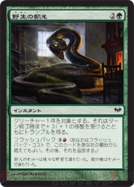 『闇の隆盛』ドラフトレポ