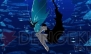 『初音ミク and Future Stars Project mirai』