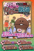 『なめこ栽培キット Seasons：花』