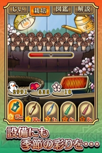シリーズ累計1,000万ダウンロード突破！ iOS/Android『おさわり探偵 なめこ栽培キット Seasons：花』配信開始