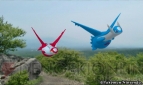 『ポケモン全国図鑑Pro』