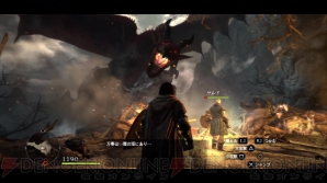 『ドラゴンズドグマ』