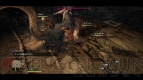 『ドラゴンズドグマ』