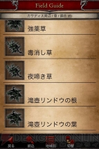 『ドラゴンズドグマ』