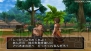 『ドラゴンクエストX 目覚めし五つの種族 オンライン』