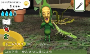 あなたもコビトと出会えるはず こびとづかん こびと観察セット のtv Cmが いつの間にテレビ で配信 電撃オンライン