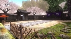 『DEAD OR ALIVE 5』