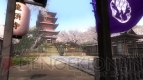 『DEAD OR ALIVE 5』