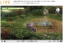 任天堂