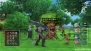 『ドラゴンクエストX 目覚めし五つの種族 オンライン』