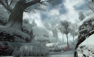 『ファンタシースターオンライン2』正式サービスで追加されるフィールドは吹雪吹き荒れる凍土